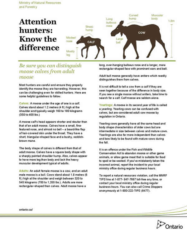Moose-ID-Fact-Sheet